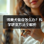 博美犬偏瘦怎么办？科学增重方法全解析（图4）