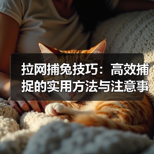 拉网捕兔技巧：高效捕捉的实用方法与注意事项（图2）