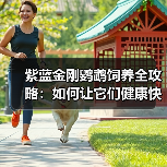 紫蓝金刚鹦鹉饲养全攻略：如何让它们健康快乐生活？（图3）