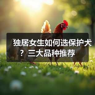 独居女生如何选保护犬？三大品种推荐（图4）