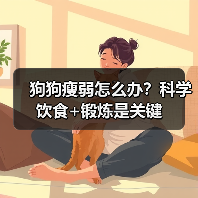 狗狗持续瘦弱怎么办？科学方法助其健康成长