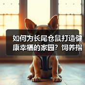 如何为长尾仓鼠打造健康幸福的家园？饲养指南全解析（图2）
