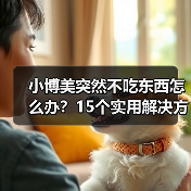 小博美突然不吃东西怎么办？15个实用解决方法（图2）