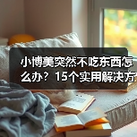 小博美突然不吃东西怎么办？15个实用解决方法