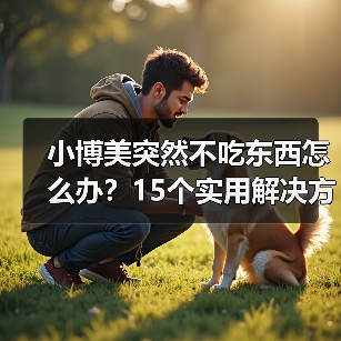 小博美突然不吃东西怎么办？15个实用解决方法（图3）