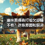 猫咪困得直打哈欠却睡不着？这些原因和解决方法值得了解