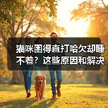 猫咪困得直打哈欠却睡不着？这些原因和解决方法值得了解（图3）