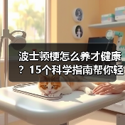 波士顿梗怎么养才健康？15个科学指南帮你轻松应对（图4）