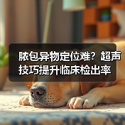 脓包异物定位难？超声技巧提升临床检出率（图3）
