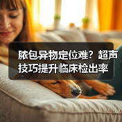 脓包异物定位难？超声技巧提升临床检出率（图4）
