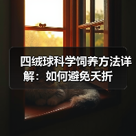 如何科学饲养四绒球？全面指南让你轻松养出健康小可爱