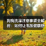 狗狗洗澡有哪些注意事项？全面解析正确洗澡方法