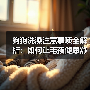 狗狗洗澡注意事项全解析：如何让毛孩健康舒适洗澡（图2）