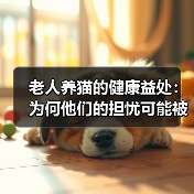 老人养猫的健康益处：为何他们的担忧可能被误解？（图2）
