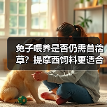 兔子喂养是否仍需苜蓿草？提摩西饲料更适合吗？（图3）