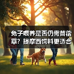 兔子喂养是否仍需苜蓿草？提摩西饲料更适合吗？（图4）