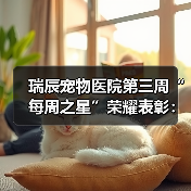 瑞辰宠物医院第三周“每周之星”荣耀表彰：服务与奉献的典范