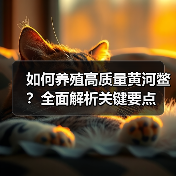 如何养殖高质量黄河鳖？全面解析关键要点（图2）