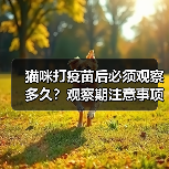 猫咪打疫苗后必须观察多久？观察期注意事项全解析（图2）
