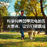 科学饲养凹甲陆龟的五大要点，让它们健康成长（图2）
