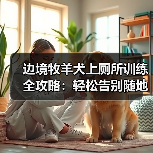 边境牧羊犬上厕所训练全攻略：轻松告别随地大小便（图3）