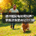 德州地鼠龟如何饲养？掌握这些要点让它们健康快乐成长（图2）
