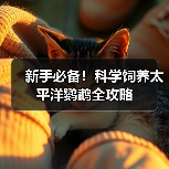 新手必备！科学饲养太平洋鹦鹉全攻略（图3）