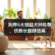狗界6大细腿犬种推荐，优雅长腿颜值高（图3）