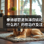 泰迪感冒流鼻涕应该吃什么药？药物治疗及注意事项全解析