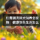 红骨猎浣熊犬饲养全攻略：健康快乐生活怎么养？（图3）