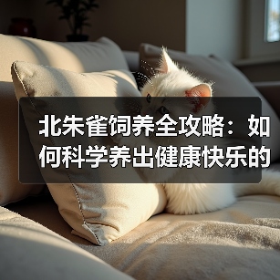 北朱雀饲养全攻略：如何科学养出健康快乐的它们？（图3）