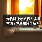 宠物驱虫怎么做？实用方法+注意事项全解析