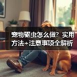 宠物驱虫怎么做？实用方法+注意事项全解析（图2）