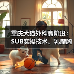 重庆犬猫外科高阶班：SUB实操技术、乳糜胸处理等，3天密训提升临床技能