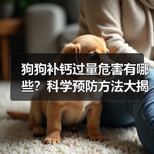 狗狗补钙过量危害有哪些？科学预防方法大揭秘（图4）