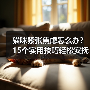 猫咪紧张焦虑怎么办？15个实用技巧轻松安抚（图3）