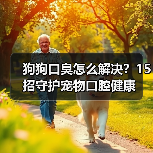 狗狗口臭怎么解决？15招守护宠物口腔健康（图4）
