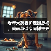 老年犬美容护理别忽视，美丽与健康同样重要（图2）
