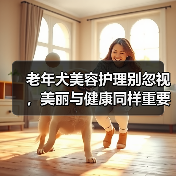 老年犬美容护理别忽视，美丽与健康同样重要
