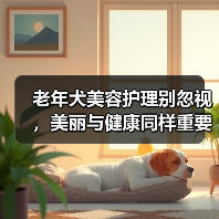 老年犬美容护理别忽视，美丽与健康同样重要（图3）