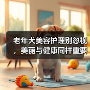 老年犬美容护理别忽视，美丽与健康同样重要（图4）