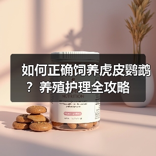 如何正确饲养虎皮鹦鹉？养殖护理全攻略（图2）