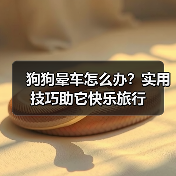 狗狗晕车怎么办？实用技巧助它快乐旅行（图3）
