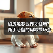 棱皮龟怎么养才健康？新手必备的饲养技巧全在这了！