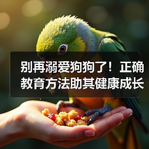 别再溺爱狗狗了！正确教育方法助其健康成长（图4）