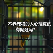 不养宠物的人心理真的有问题吗？（图2）