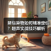 脓包异物如何精准定位？超声实战技巧解析（图3）