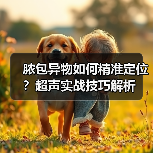 脓包异物如何精准定位？超声实战技巧解析（图4）