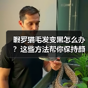 暇罗猫毛发变黑怎么办？这些方法帮你保持颜色不变（图4）