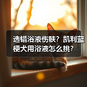 选错浴液伤肤？凯利蓝梗犬用浴液怎么挑？（图3）